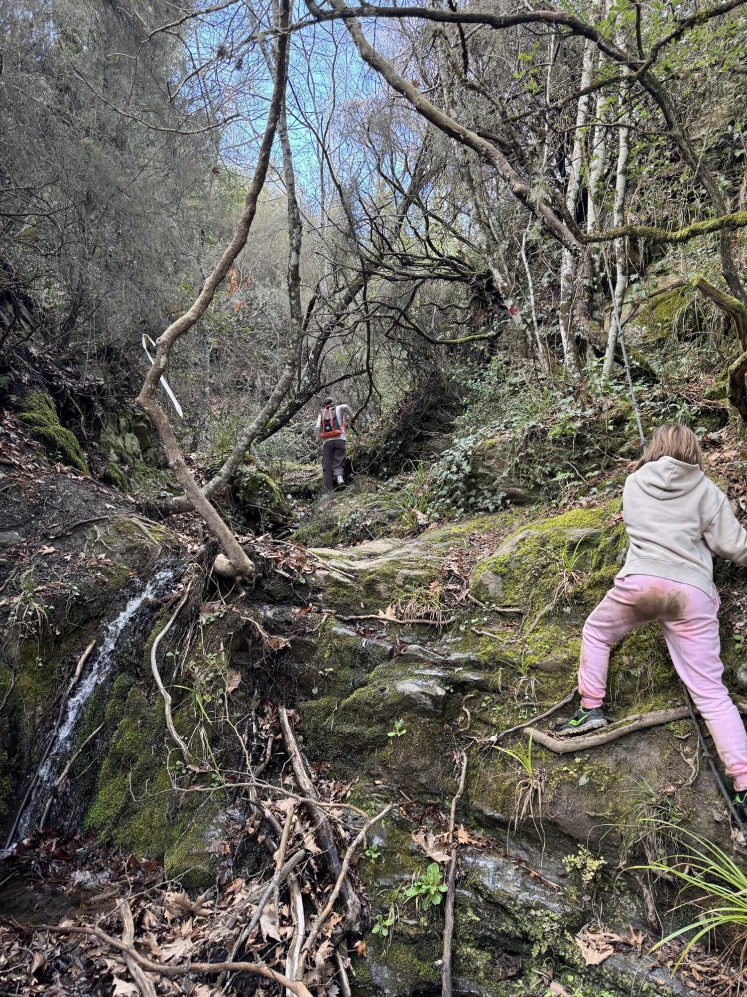 Foresta In Medias Mores Tripoli Exterior foto