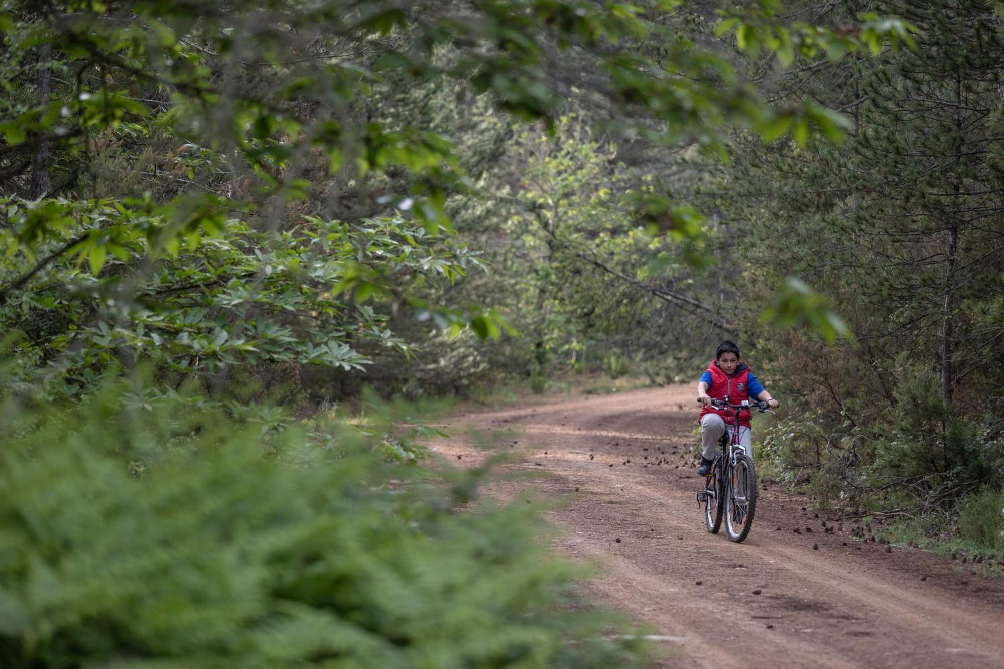 Foresta In Medias Mores Tripoli Exterior foto